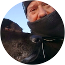 Martin Milner profile picture