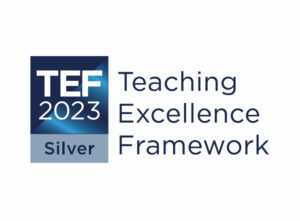 TEF Silver 2023 Logo